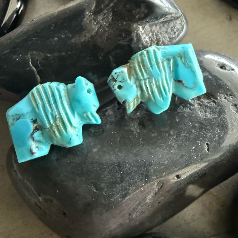 Turquoise Navajo Fetish Stud Earrings